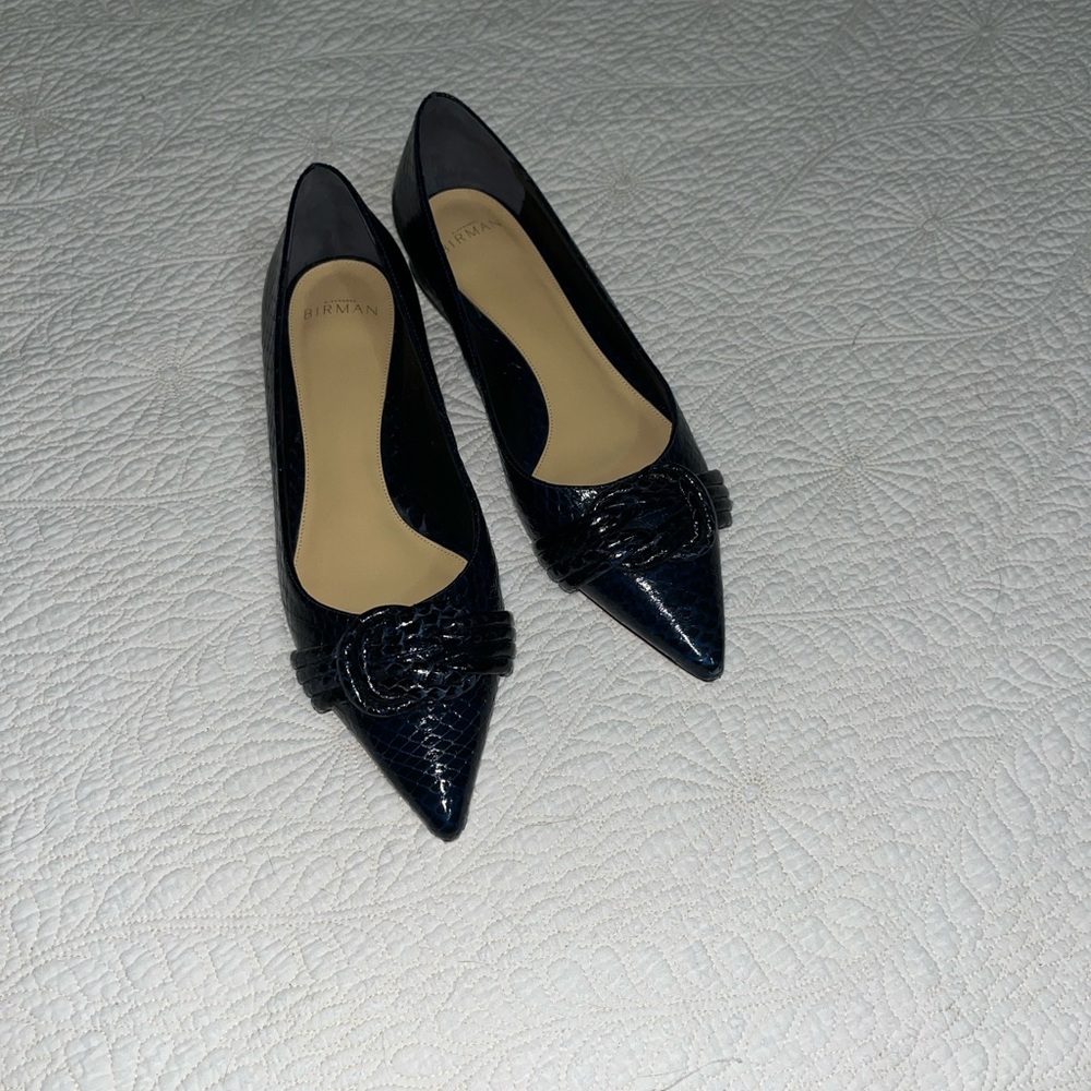 Alexandre Birman Navy Flats with Sophisticated Detailing